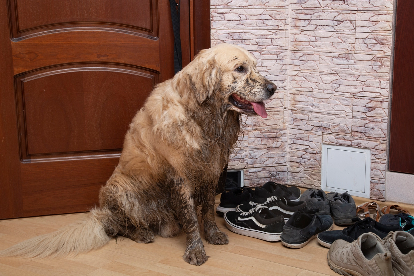 South Riding residential odor cleaning services