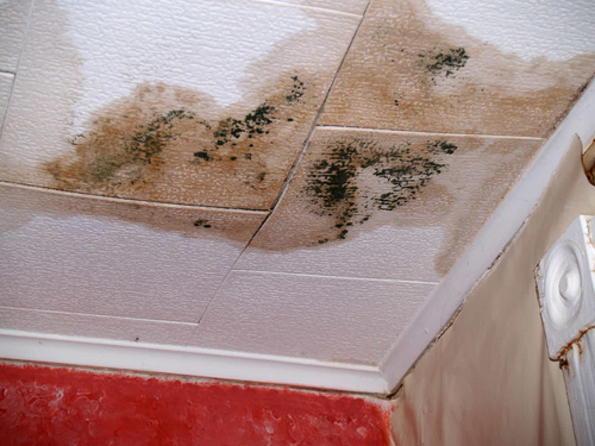 Signs of Water Damage on Your Ceiling